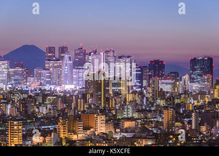 Tokyo, Japan cityscape with Fuji. Stock Photo