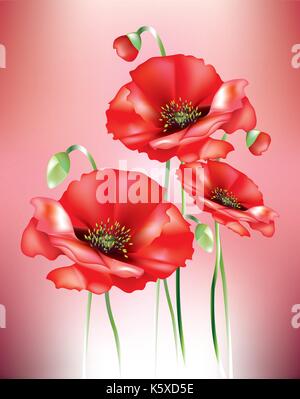 Abstract colored poppies with flower buds and seed pods Stock Vector