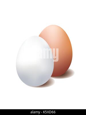 White and brown egg on white background Stock Vector