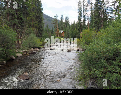 A small creek or stream runs through a forest area near Grand Lake in Colorado.  The stream is surrounded by trees and a log cabin home.  In the backg Stock Photo