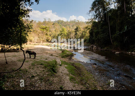 Beautiful Lod Cave in Soppong close to touristic Pai village full of rock. Landscape at the entrance to cave. Stock Photo