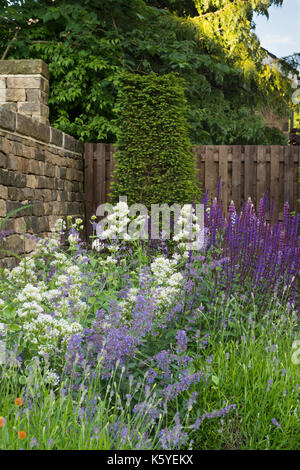 Beautiful, private, traditional, landscaped, country garden, West Yorkshire, England, UK - summer flowering plants in close-up on herbaceous border. Stock Photo