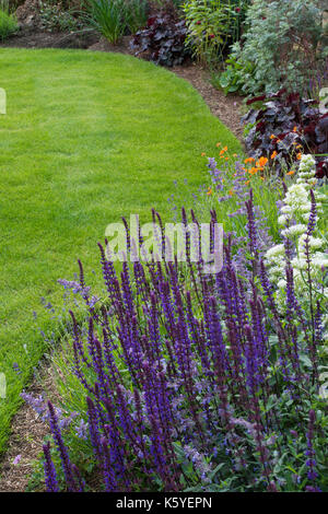 Beautiful, private, traditional, country garden, West Yorkshire, England, UK - green lawn & summer flowering plants in close-up on herbaceous border. Stock Photo