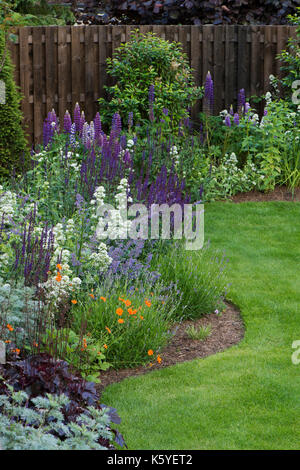 Beautiful, private, traditional, landscaped, country garden, West Yorkshire, England, UK - summer flowering plants in close-up on herbaceous border Stock Photo