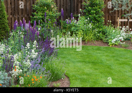 Beautiful, private, traditional, landscaped, country garden, West Yorkshire, England, UK - summer flowering plants in close-up on herbaceous border. Stock Photo