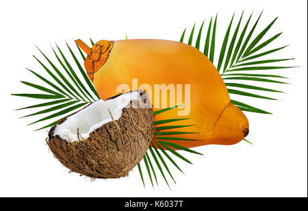 Coconuts isolated on white background Stock Photo