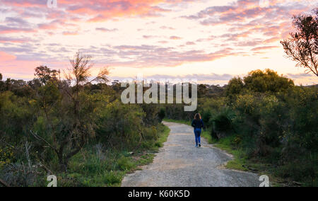 Woman walking down a path through Star Swamp Reserve suburban bushland at sunset Stock Photo