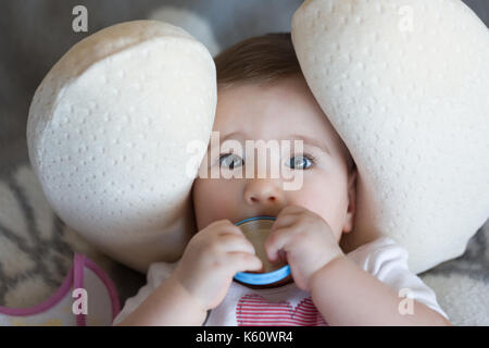 Little baby lying in a neck pillow with cover in the hands. Stock Photo