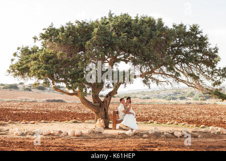 Newlywed couple sitting under shade of tree in summer Stock Photo