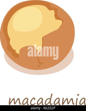Macadamia icon, isometric 3d style Stock Vector