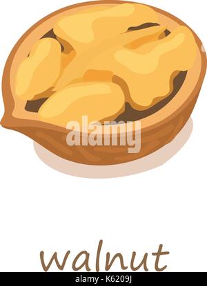 Walnut icon, isometric 3d style Stock Vector