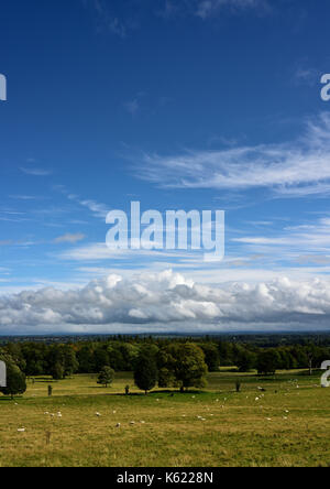 Cumulus humilis clouds and cirrus clouds over north wales countryside with trees in the background in uk Stock Photo
