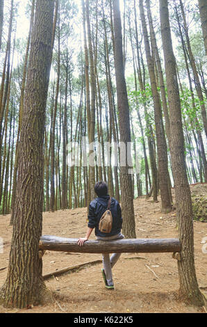 Man sitting in pine forest Stock Photo