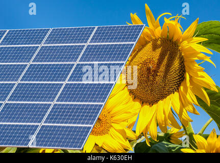 Photomontage with solar panels and sunflower flower Stock Photo