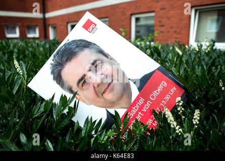 An election poster with a picture of german foreign minister Sigmar Gabriel on it in a hedge in Mvºnster, 05 August 2017. | usage worldwide