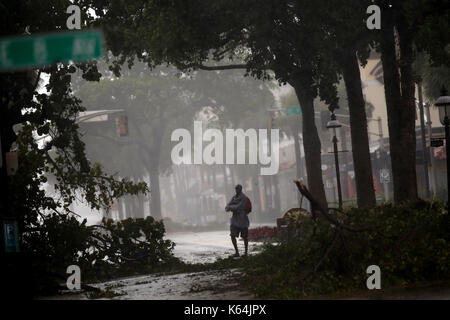 Ft. Lauderdale, FL, USA. 10th Sep, 2017. A man walks down Las Olas Blvd in downtown Fort Lauderdale with downed trees all around as Hurricane Irma continues to batter South Florida on Sunday, Sept. 10, 2017. Amy Beth Bennett, Sun Sentinel Credit: Sun-Sentinel/ZUMA Wire/Alamy Live News Stock Photo