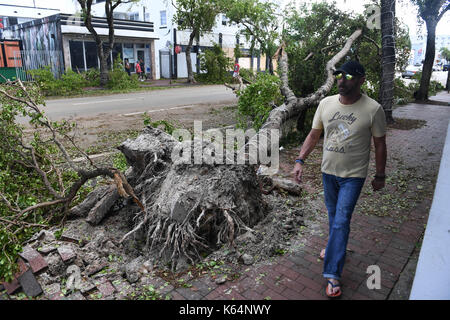 Miami, USA. 11th Sep, 2017. People walk by a tree toppled by strong wind after Hurricane Irma swept through the area, in Miami, Florida, the United States, on Sept. 11, 2017. Powerful Hurricane Irma roared into Florida and knocked out power to more than 3 million homes and businesses in Florida on Sunday. Credit: Yin Bogu/Xinhua/Alamy Live News Stock Photo
