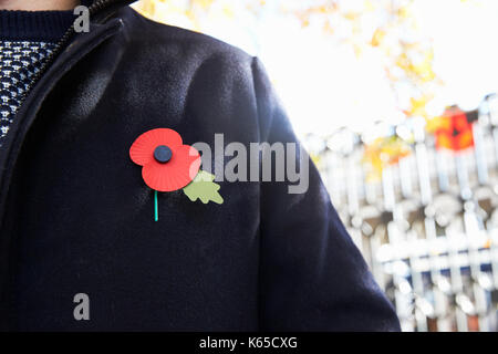 Birmingham, UK - 6 November 2016: Close Up Of Man Wearing Remembrance Day Poppy Stock Photo