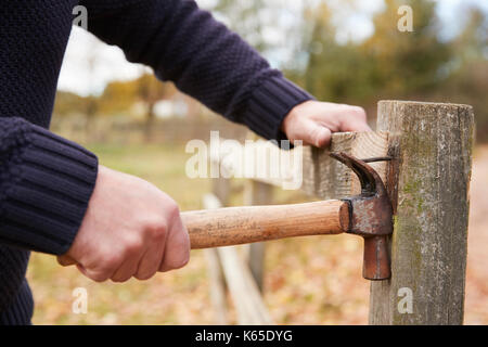 Mature Man Removing Nail From Fence Being Repaired Stock Photo