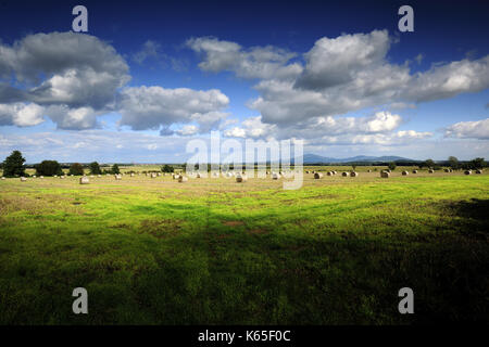 dolnaslaskie, landscape, poland, travel, polska, lower silesia,sleza, mountain, Stock Photo