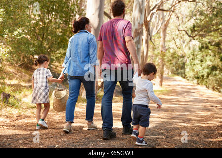 Rear View Of Family Walking Along Path Through Forest Together Stock Photo