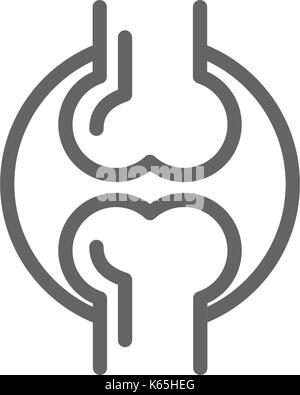 Simple joint and knee line icon. Symbol and sign vector illustration design. Editable Stroke. Isolated on white background Stock Vector