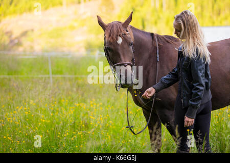 Woman feeding her arabian horse with snacks in the field Stock Photo