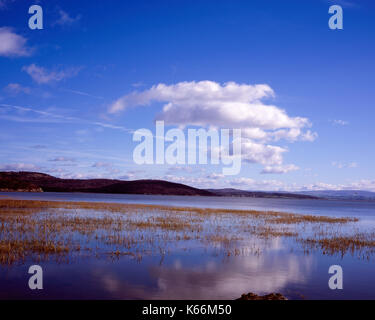 Arnside Knott viewed from across the estuary of the River Kent at Grange-Over-Sands Morecambe Bay Cumbria England Stock Photo