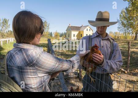 Young woman pets a chicken held by a young farmer in Ukrainian Cultural Heritage Village, Alberta, Canada Stock Photo