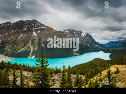 Panorama of Peyto Lake. This is a glacier-fed lake in Banff National Park in the Canadian Rocky Mountains. Stock Photo