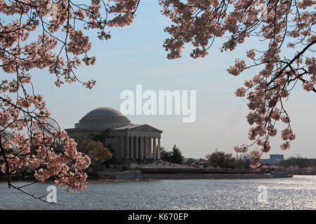 Jefferson Memorial as seen through the cherry blossoms across the reflecting pool in Washington, DC. Stock Photo