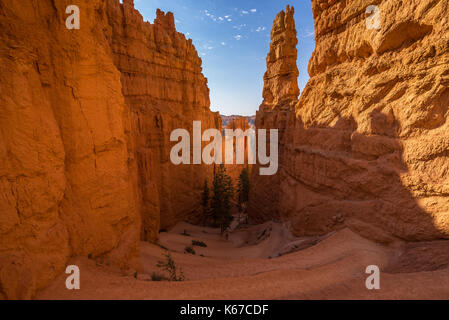 Navajo Loop Trail, Bryce Canyon, Utah, United States Stock Photo