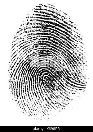 fingerprint vector illustration Stock Vector