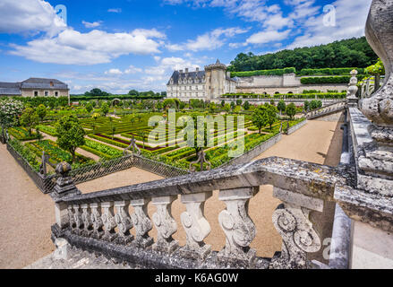 France, Indre-et-Loire department, Château de Villandry, ornamental vegetable growing in the Kitchen Garden Stock Photo