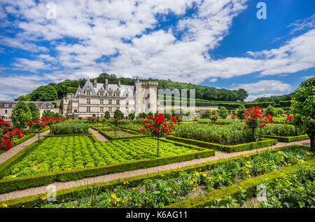 France, Indre-et-Loire department, Château de Villandry, ornamental vegetable growing in the Kitchen Garden Stock Photo