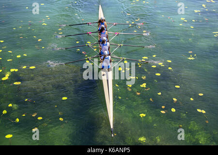 Ladies fours rowing team in race on the lake Stock Photo