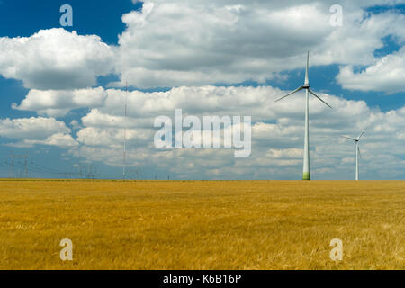Eolian generators in a beautiful wheat field. eolian turbine farm,wind turbine, wind field with wind turbines. Wind propeller. Wheat Fiel Agriculture. Stock Photo