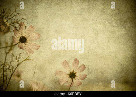 grunge floral background with space for text or image Stock Photo