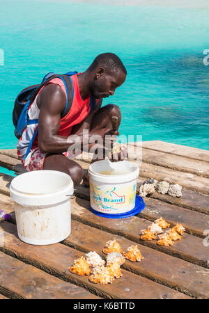 CAPE VERDE SAL Local boy cleaning shells for sale as souvenirs on the wooden pier in Santa Maria Sal Island Cape verde Africa Stock Photo