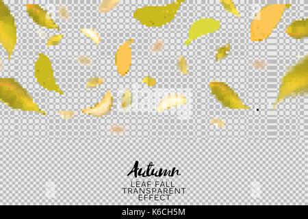Stock vector illustration autumn falling leaves on transparent checkered background. Autumnal foliage fall and poplar leaf flying in wind motion blur. EPS10 Stock Vector