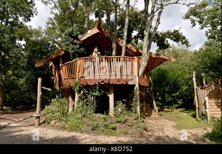 Ditchling Sussex, UK. 12th Sep, 2017. A new tree house has been unveiled at Blackberry Wood campsite near Ditchling in Sussex . The new upmarket tree house called Piggledy has been built by campsite owner Tim Johnson (pictured) and is larger than the original next door tree house called Higgledy . Credit: Simon Dack/Alamy Live News