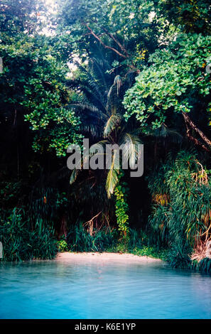 Blue lagoon. Idyllic Jamaica. Stock Photo