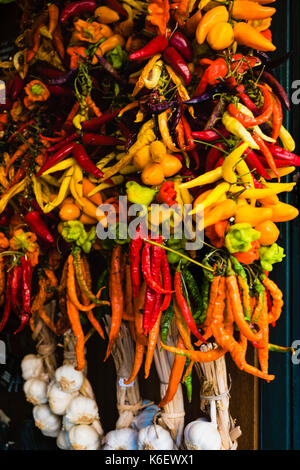 variety of hot peppers of different colors Stock Photo