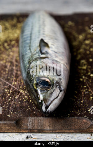 closeup of a raw fresh mackerel on a dark wooden chopping board placed on a rustic wooden table Stock Photo