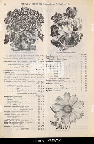 Dreer's wholesale price list autumn edition September 1899