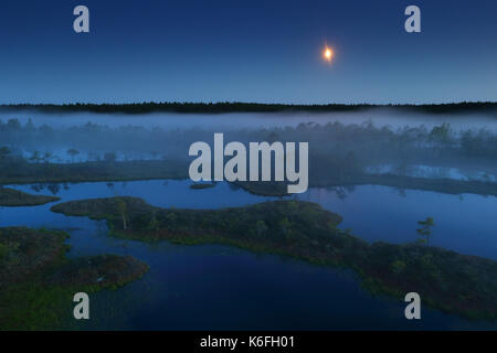 Misty summer night in Mannikjärve bog, Endla Nature Reserve, Estonia Stock Photo