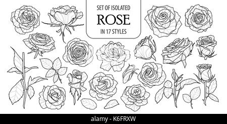 Set of isolated rose in 17 styles. Cute flower illustration in hand drawn style. Presented in black outline and white plane on white background. Stock Vector