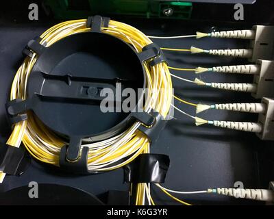 Fiber optic cables with connectors in group Stock Photo