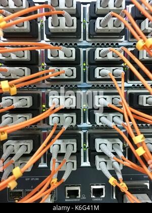 Fiber optic cables with connectors in group Stock Photo