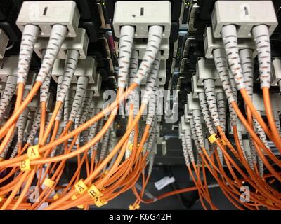Fiber optic cables with connectors in group Stock Photo